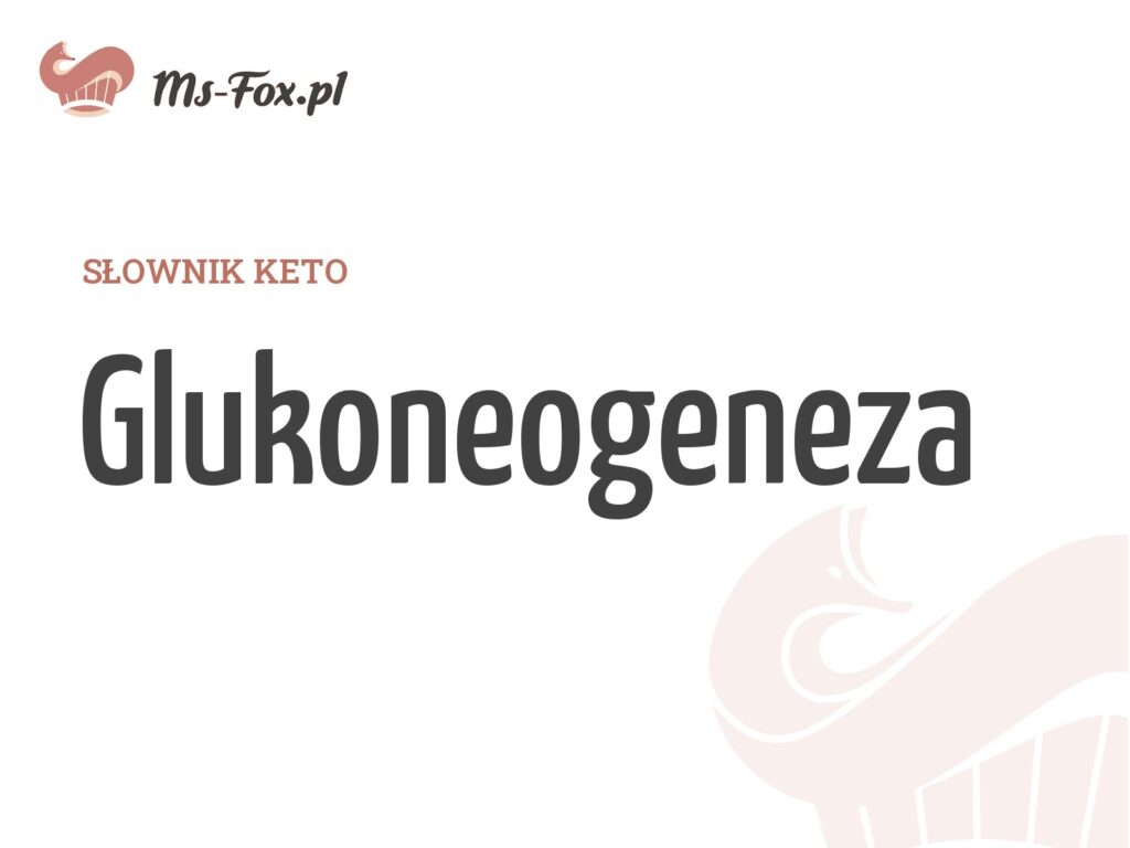 Glukoneogeneza – hasło w słowniku keto Ms. Fox
